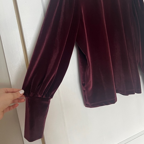 LOFT Velvet Burgundy Blouse - Picture 3 of 9